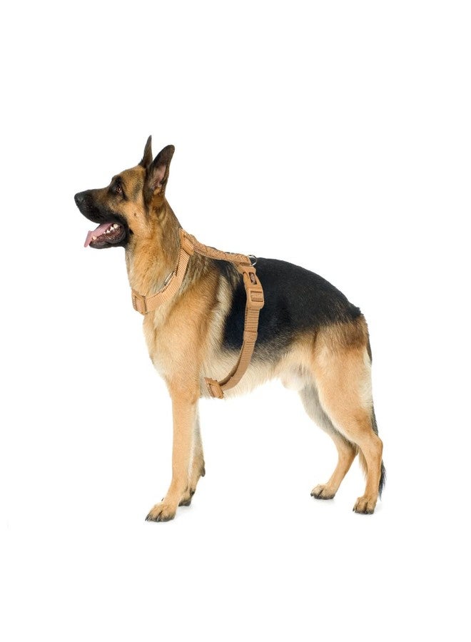 Trixie Premium Touring Harness for Dogs - Adjustable Fleece Padded No-Pull Dog Harness with Strong D-Ring, Lightweight Comfortable Walking Harness, Caramel (M-L) - Image 2